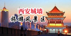 三级黄色毛片儿本又粗又大操逼中国陕西-西安城墙旅游风景区